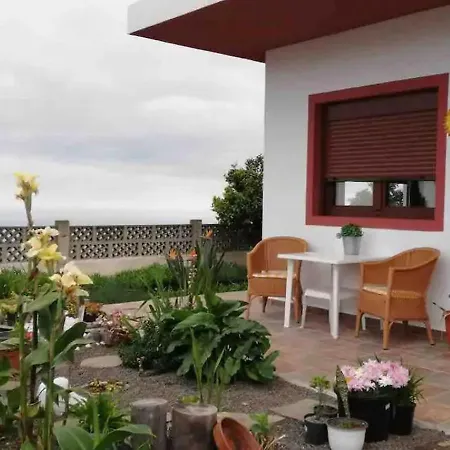 Tranquil Mansion In With Terrace *